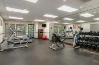 Comfort Inn & Suites Dahlonega University Area