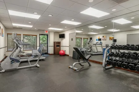 Comfort Inn & Suites Dahlonega University Area