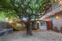 Mich's Surf Villa & Hostel