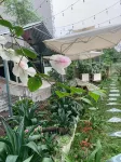 Mio Hotel Hotels in Hai Duong