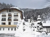 Nozawa Grand Hotel Отели в г. 