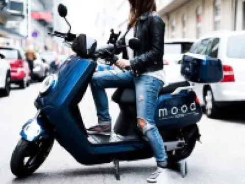 Mood Contemporary Living