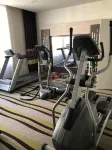 Hôtel Mercure Chartres Centre Cathédrale - Gym