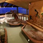 Hotel Sun Hatoya - Hot Springs