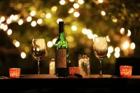 Larisa Resort Manali - 5-Star