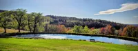 Summer Exploration and Rest is Waiting for You at Whispering Willows Farm