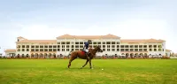منتجع الحبتور بولو Hotels near القرية العالمية