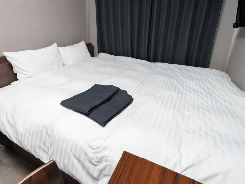 RESORT INN SAKATAHONCHO - 2-نجوم