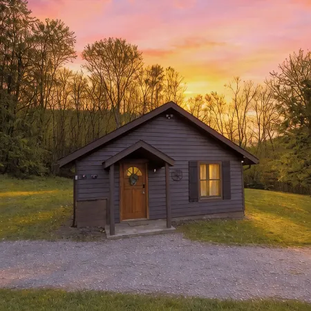 Mountain Cabin- Fallingwater/Ohiopyle/State Parks