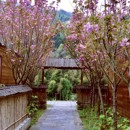 Pingwu Zen Tea Qinggu Homestay