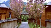 Pingwu Zen Tea Qinggu Homestay