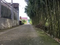 Lai Ba Country House - Farmhouses