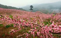 Ancient Spring Hotel (ShiQian Ancient Hot Spring Scenic Area Branch)