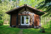 Cozy Forest Cabin in the Beautiful Sayward Valley