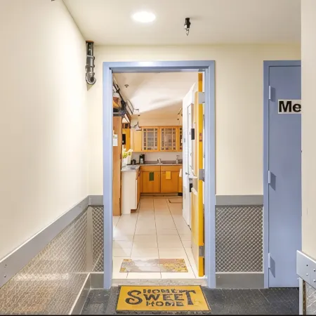 Cozy 1BR Apt in Downtown Richmond, Nearby Attractions within walking distance