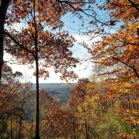 Cabin for 6 in Cuyahoga Valley National Park: Enjoy four-season comfort