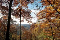 Cabin for 6 in Cuyahoga Valley National Park: Enjoy four-season comfort