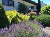 Modern and spacious attic apartment in Abtsteinach im Odenwald - Boutique