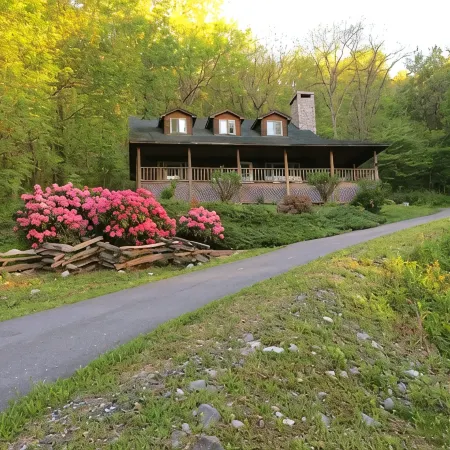 Casual comfort between Boone & Sugar. A retreat w/ soul, High Country centered.