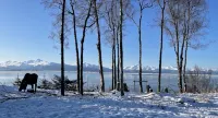 Beachfront property!  2 Bed/2 Bath and no added cleaning fees