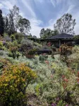 Valley View Cottage & Acres Hunter Valley Wine Region