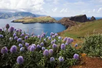10 minutes from the center of Funchal- Free WIFI - Jacuzzi
