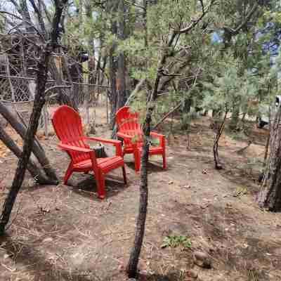 BRAND NEW CUSTOM BUILT HOME WITH AC! FENCED FOR YOUR PUPS! Hotel Exterior