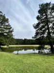 Beautiful Cabin in National Forest with Screened in Porch and Pond with Fountain - Alppimaja