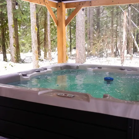 Logshire at Mt.Baker EVCharger & HotTub