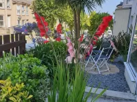 Fairways Guest House Hotels in Newquay