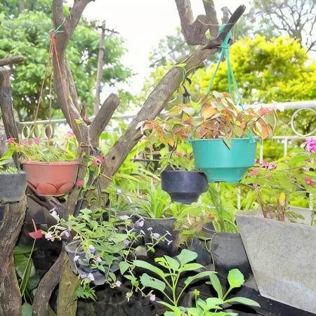 Highcliffe Guest House Отели в г. Хапутале