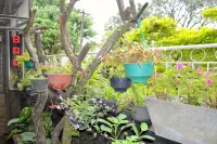 Highcliffe Guest House