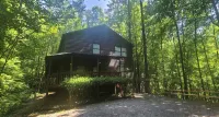 Our Mountain Medicine - Borders National Forest - Chalets