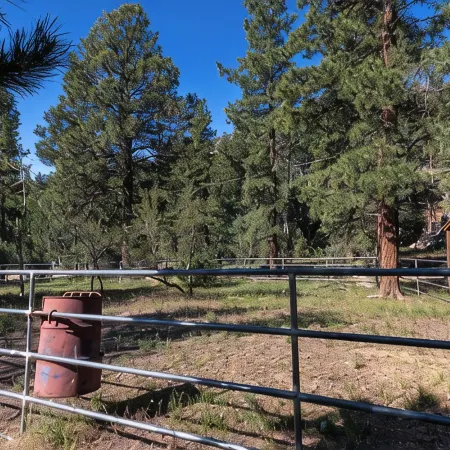 Enjoy a Cozy Cabin Near the Lake! Sleeps 8,  4 Beds.