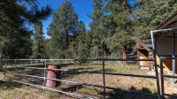 Enjoy a Cozy Cabin Near the Lake! Sleeps 8,  4 Beds. - シャレー