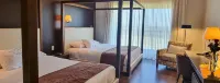 Regency Park Hotel - Balkoner