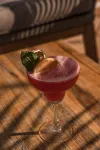 Cooks Club Calvia Beach - Adults Only - bar