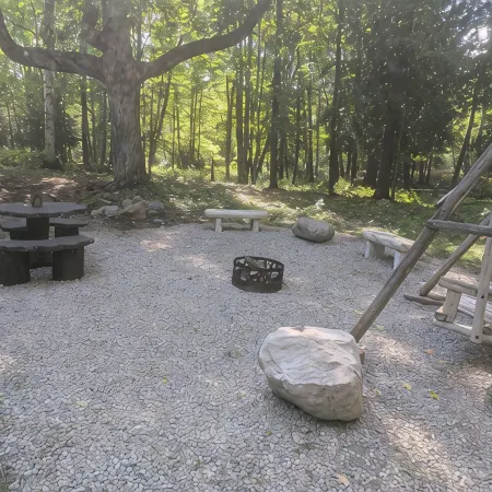 Bear's Den, A cozy 3-bedroom cabin in mature woods on Neebish Island with WiFi