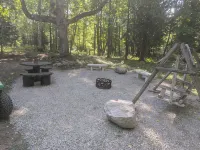 Bear's Den, A cozy 3-bedroom cabin in mature woods on Neebish Island with WiFi