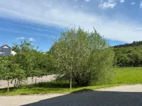 Quiet vacation apartment right by the forest - 公寓
