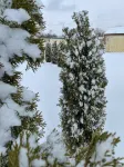 Timber Motel
