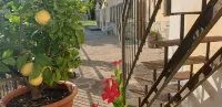 B&B Il Mandorlo - 3-Star