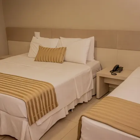 Fenix Hotel Araxá Hotels in Araxa