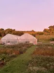 Slow Stay at Roebuck Farm - Wi-Fi