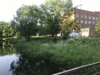Опочка - Разрешено размещения с домашними животными