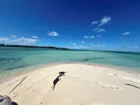 Tranquility Blue: Private island experience. 20 yards from ocean. - 3 stjerner