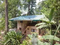 Sea Breeze II Luxury 6 BR Oceanview Estate between Dominical and Manuel Antonio - Pool