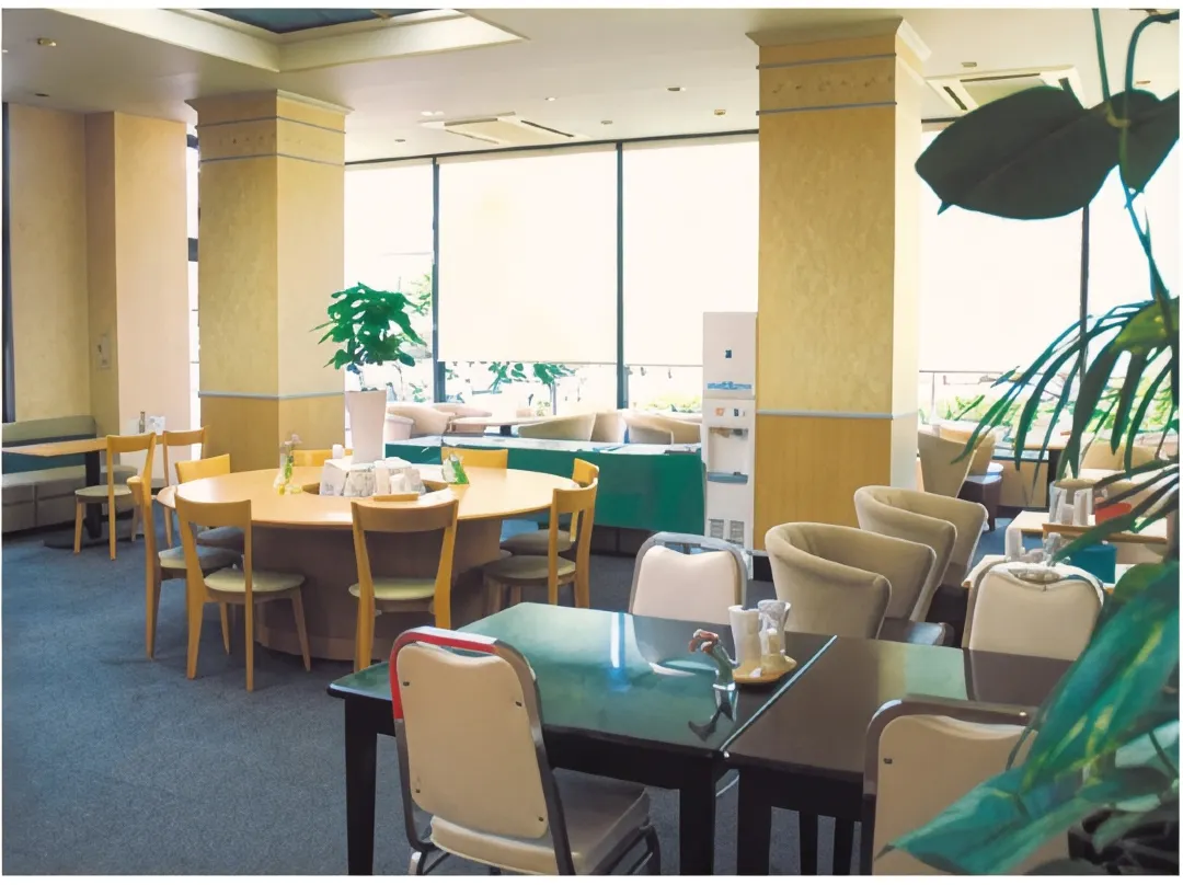 Hotel Yes Ekimaekan　Nagahama - Maibara