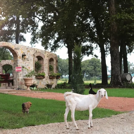 Fortunata Winery Villa #5, Elegant Stay for 4