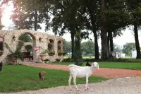 Fortunata Winery Villa #5, Elegant Stay for 4 - Villas